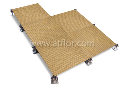 600mm Bare Finish Steel Raised Access Floor System